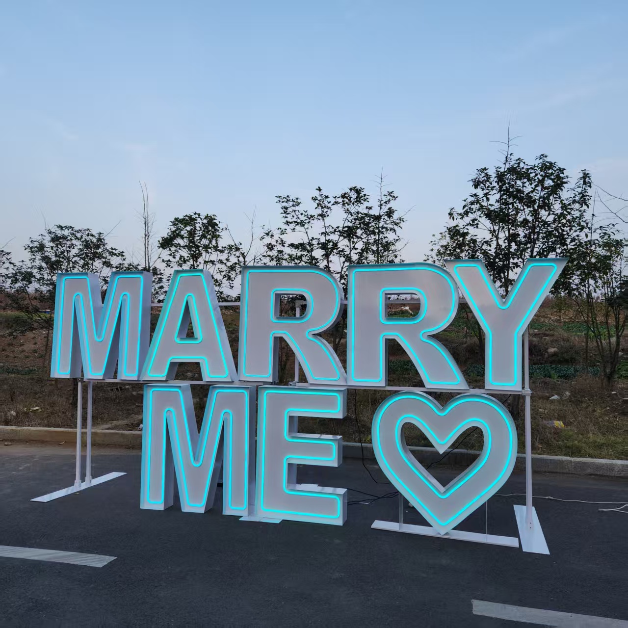 MARRY ME Metal RGB LED Neon Si - Event Party Supply Rental 评论和价格