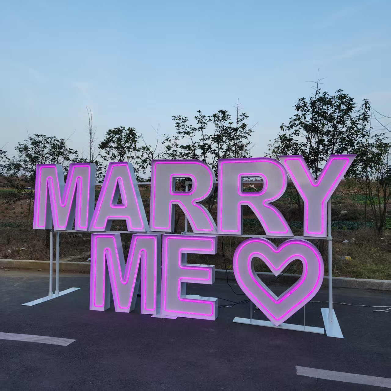 MARRY ME Metal RGB LED Neon Si - Event Party Supply Rental 评论和价格