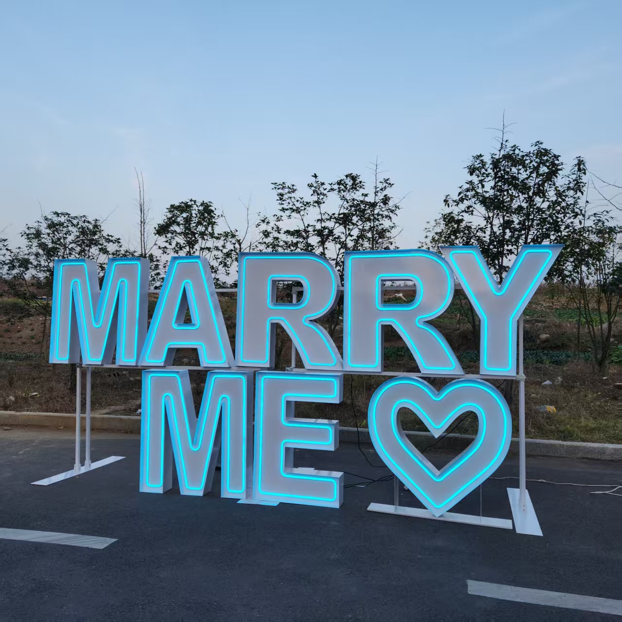 MARRY ME Metal RGB LED Neon Si - Event Party Supply Rental 评论和价格